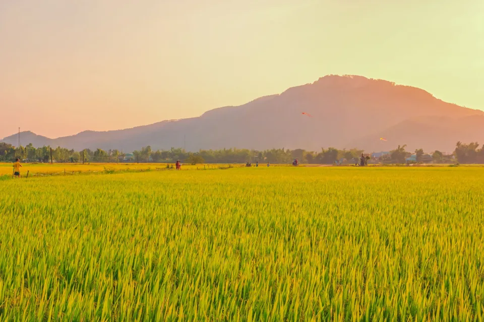 Kho gạo của Nguyễn Thị Nhuận